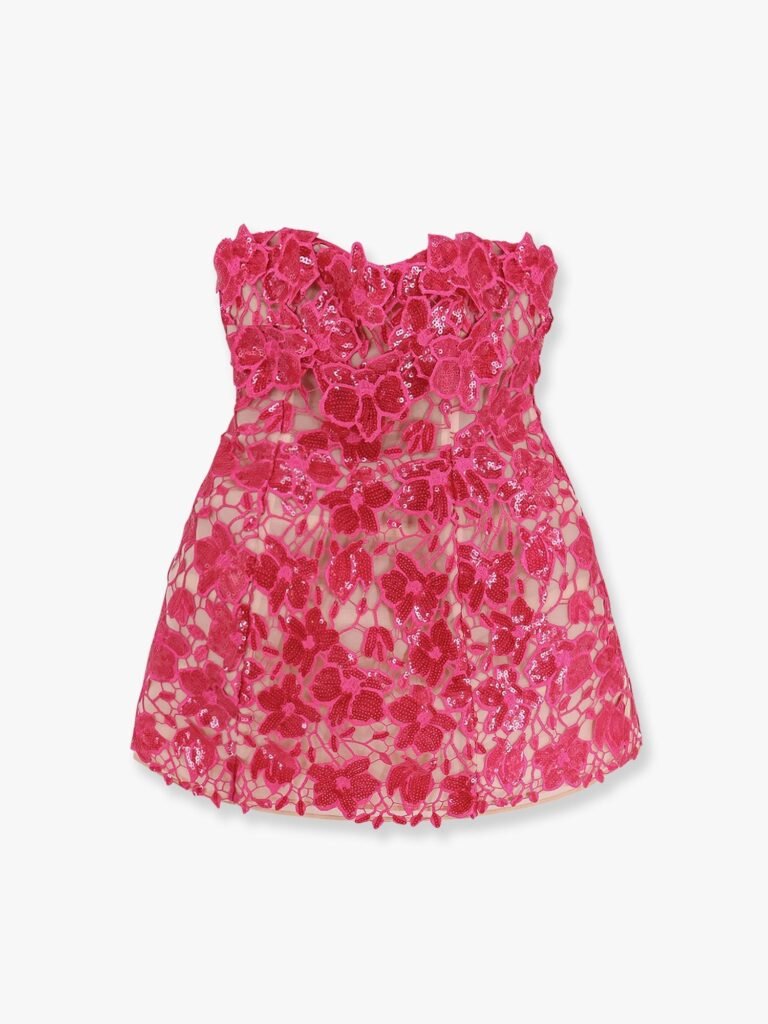 Alira laces and sequins dress