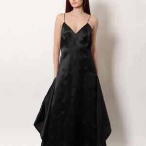 Nith organza dress