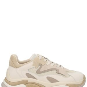SNEAKER "ADDICT"