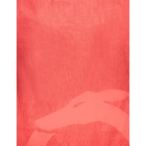 TRUSSARDI JEANS WOMEN'S BEACH TOWEL RED