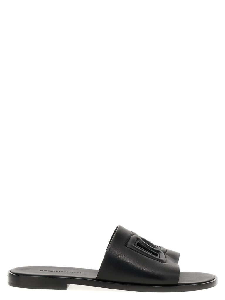 Logo slides
