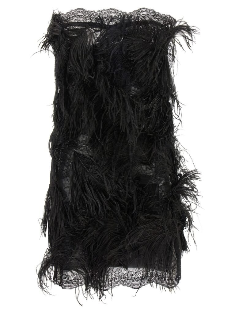 Lace and feather dress