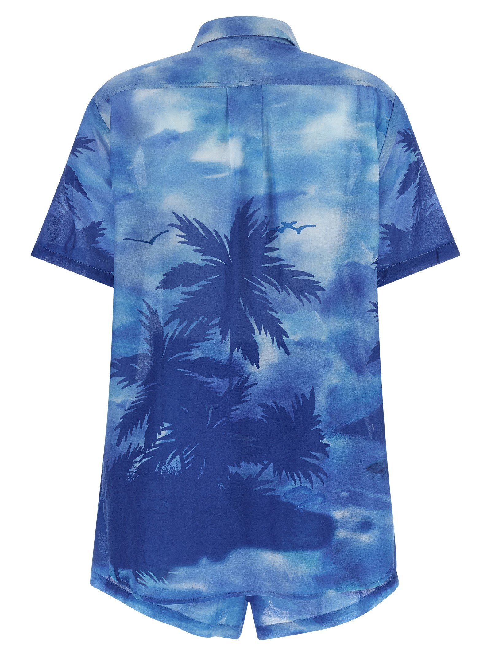 Complete 'Palme' print - Image 2